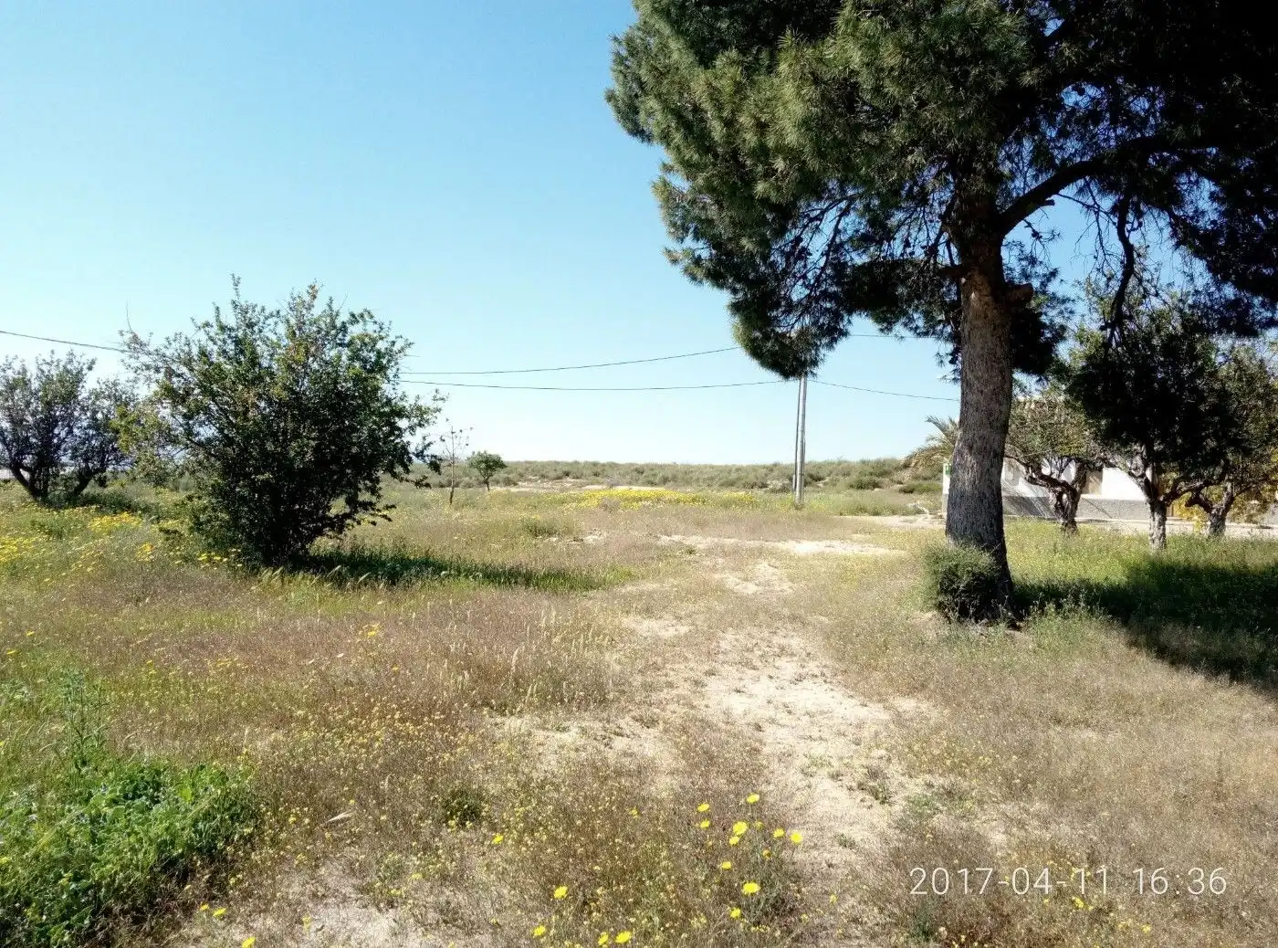 Terreny residencial en venda a Sierra de Carrascoy, imagen 5
