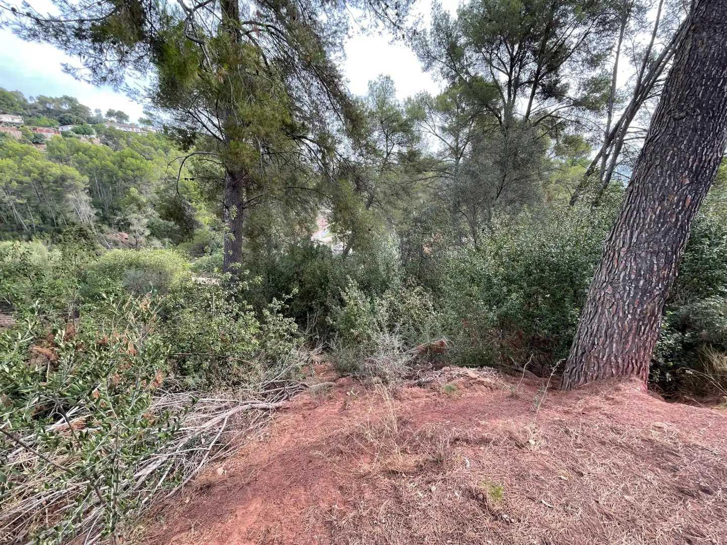 Wohnbaugrundstück zum Verkauf in Cervelló, imagen 8