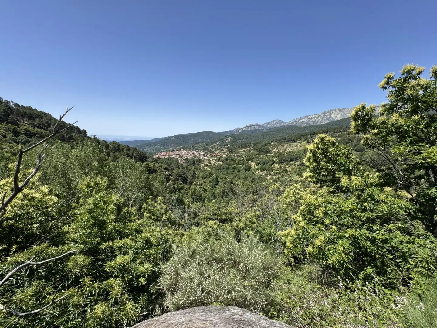 Vista exterior de Finca rústica en venta en El Arenal  con Jardín privado