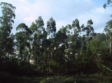 Terreno residenziale in vendita a Aeroporto