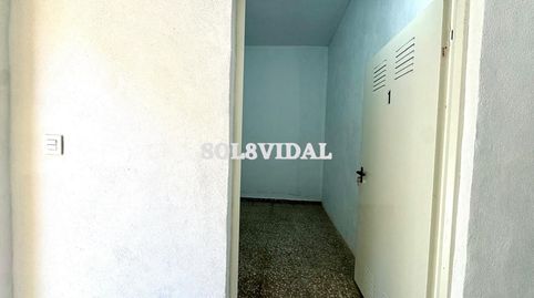 Foto 3 de Traster de lloguer a Orihuela ciudad, Orihuela
