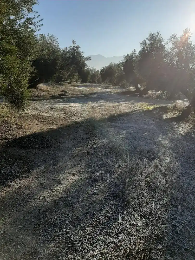Finca rústica en venda en La Iruela