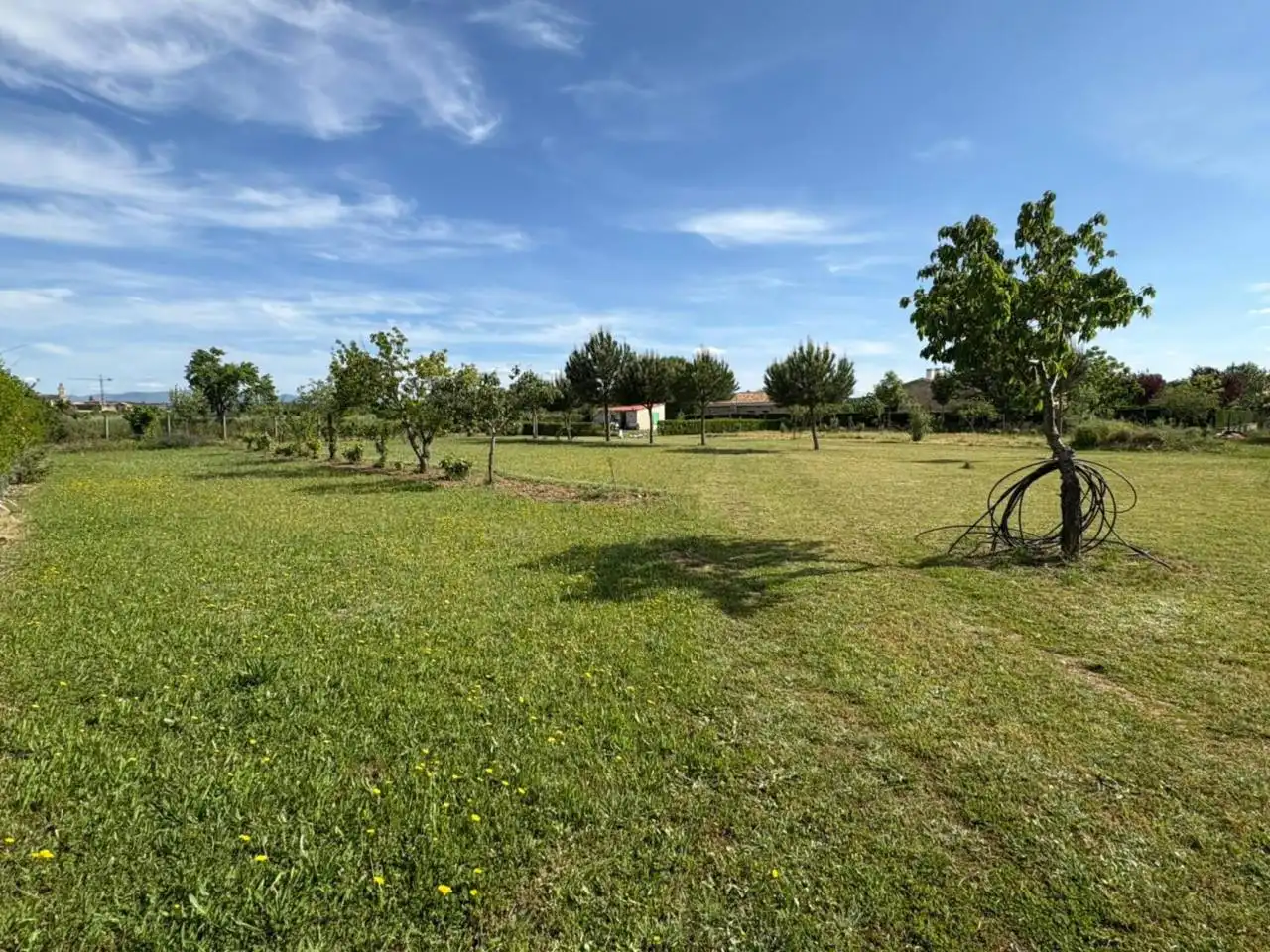 Terreno residenziale in vendita a Poligono 24, imagen 19