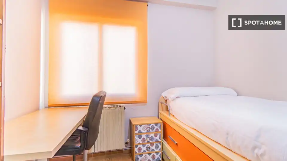 Room in Paseo Sagasta