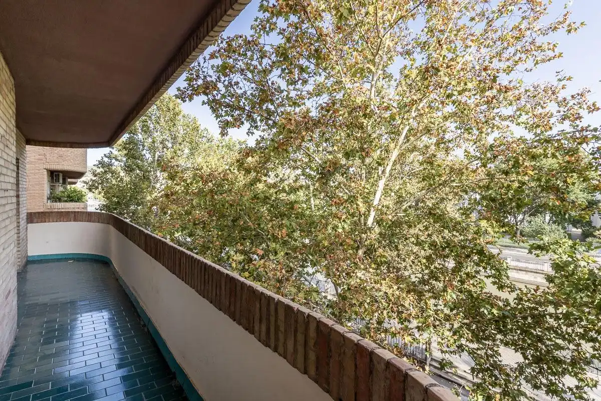 Piso con terraza en venta en Calle Profesor Agustín Escribano 17