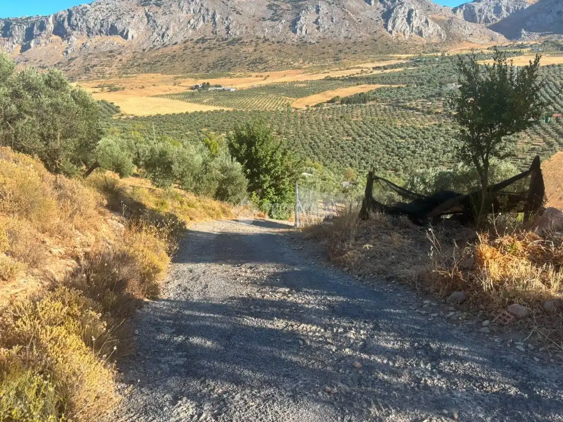Vista exterior de Finca rústica en venta en Valle de Abdalajís