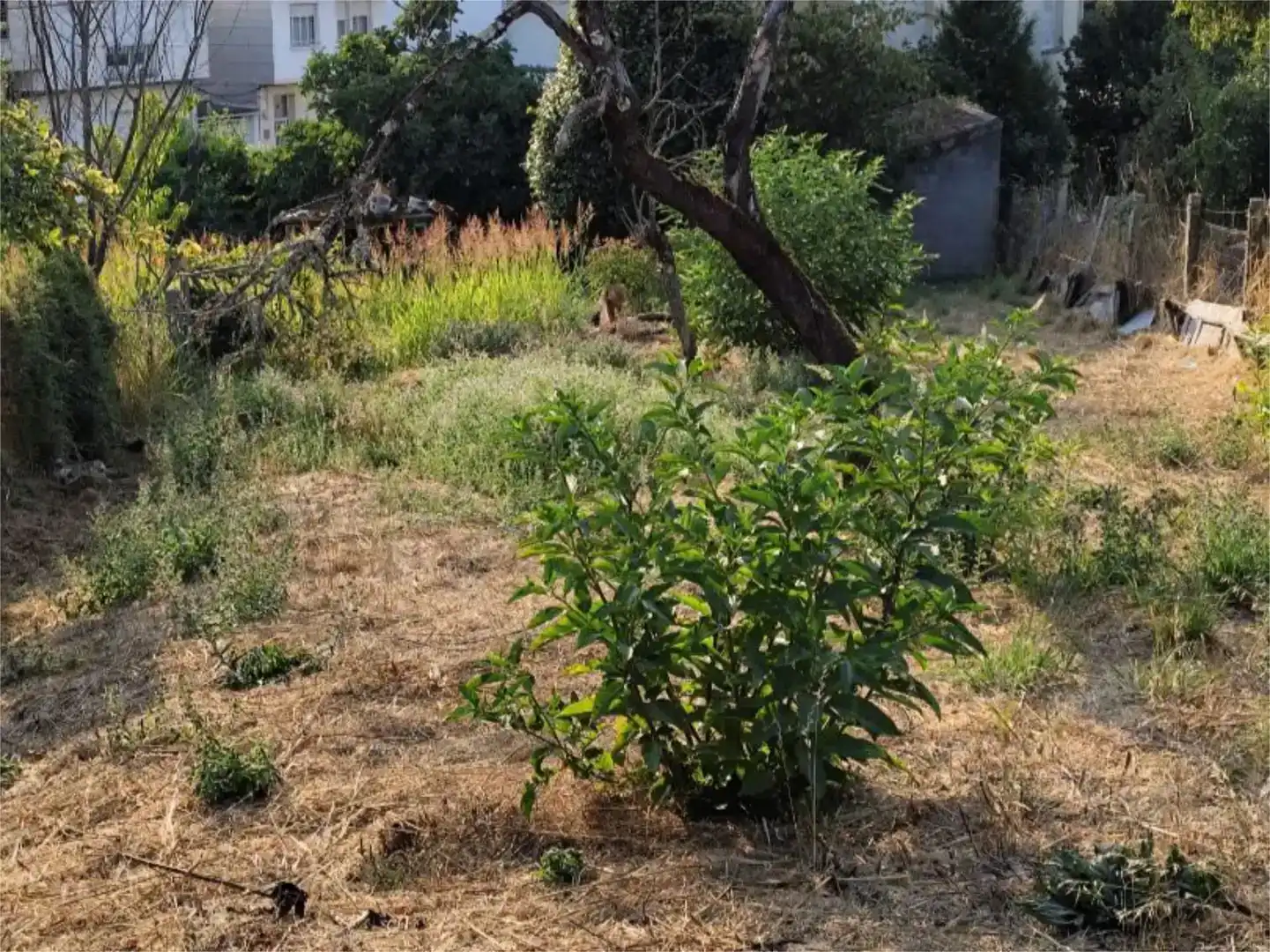 Finca rústica en venda en Maside amb Balcó