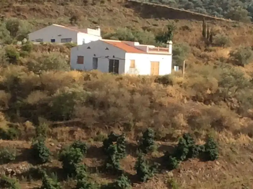 Vista exterior de Finca rústica en venta en Cómpeta