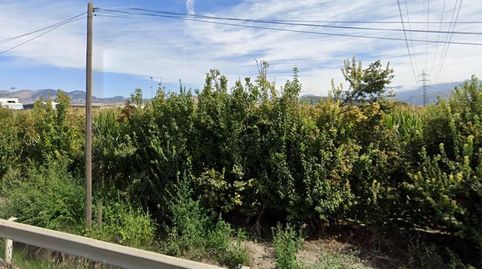 Finca rústica de regadío en venta  Pago de Naujar y Frigiliana Granada, imatge 5