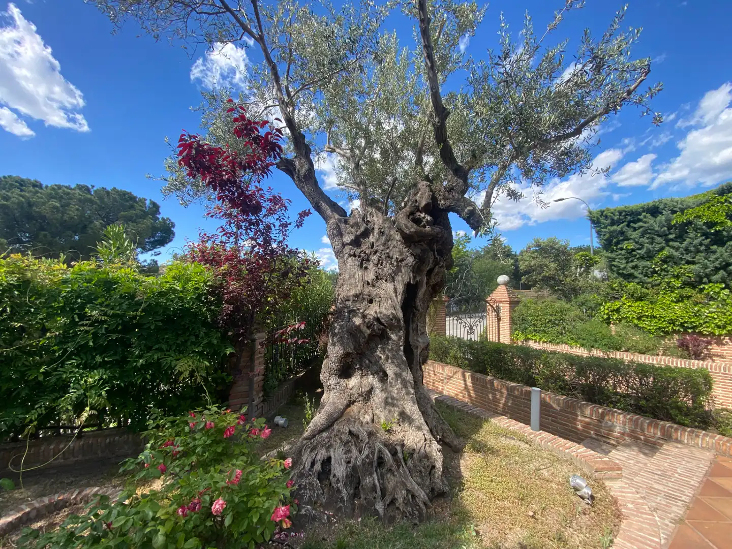 Jardín de Casa o chalet en venta en Las Rozas de Madrid con Aire acondicionado, Calefacción y Jardín privado