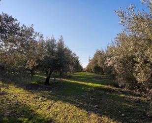 Land for sale in Villa del Río
