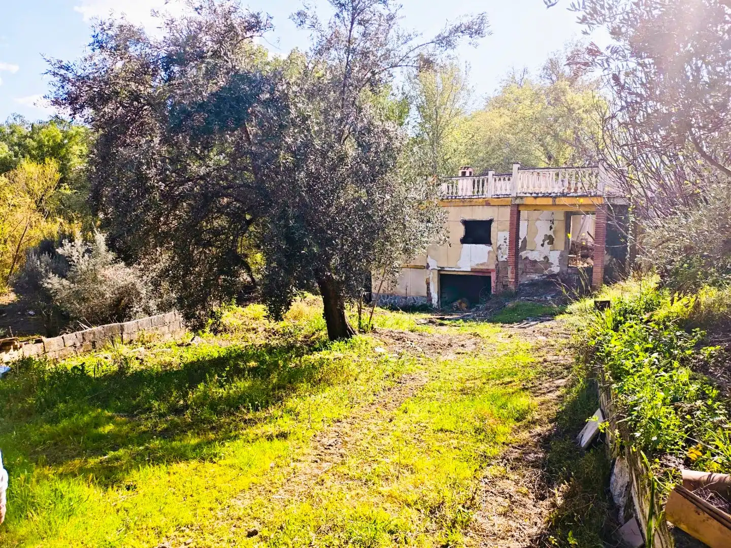 Grundstücke zum Verkauf in Jaén