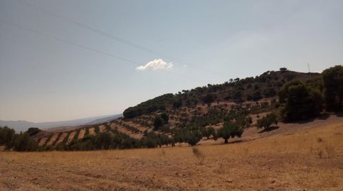 Terreno rústico en venta en c. Cortijo la Hurraca, Quesada, Jaén, image 2