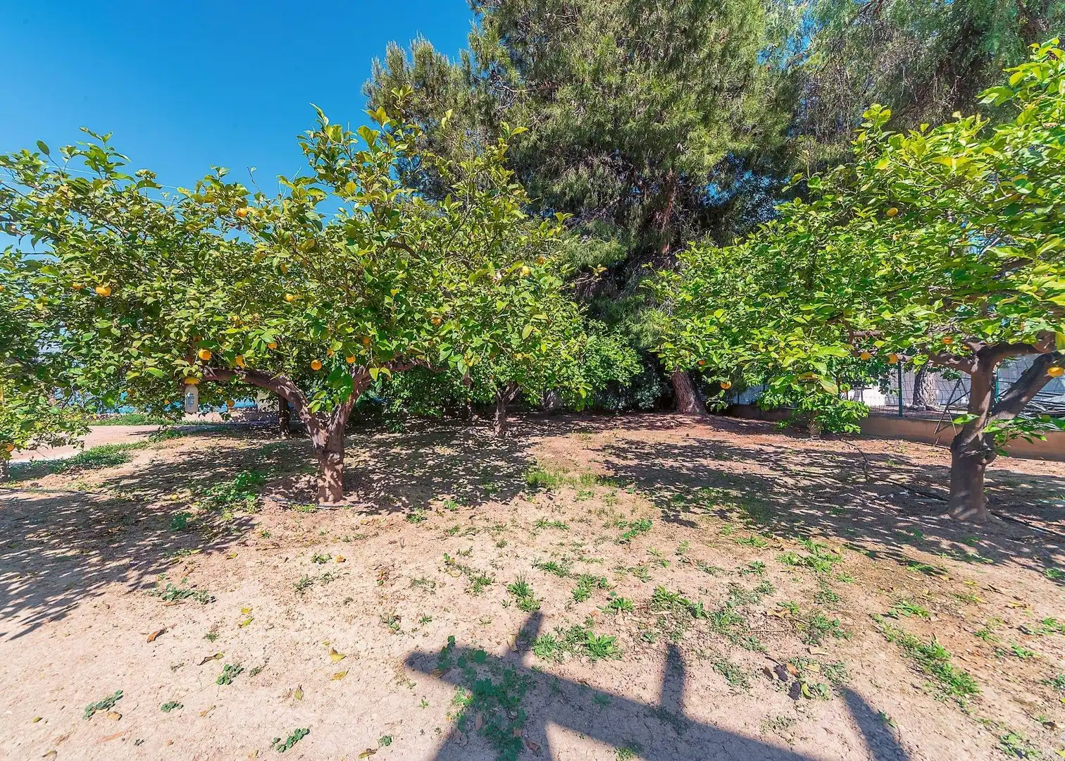 Chalet con piscina en venta en Partidas de Alicante, imagen 25