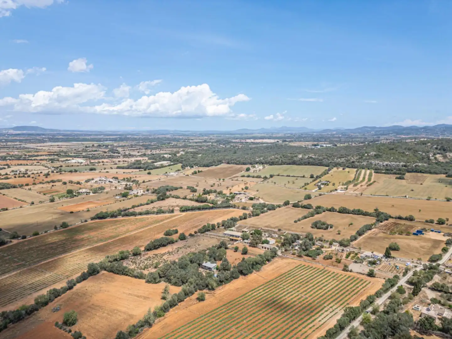 Terreno rustico in vendita a Felanitx Poble, imagen 25