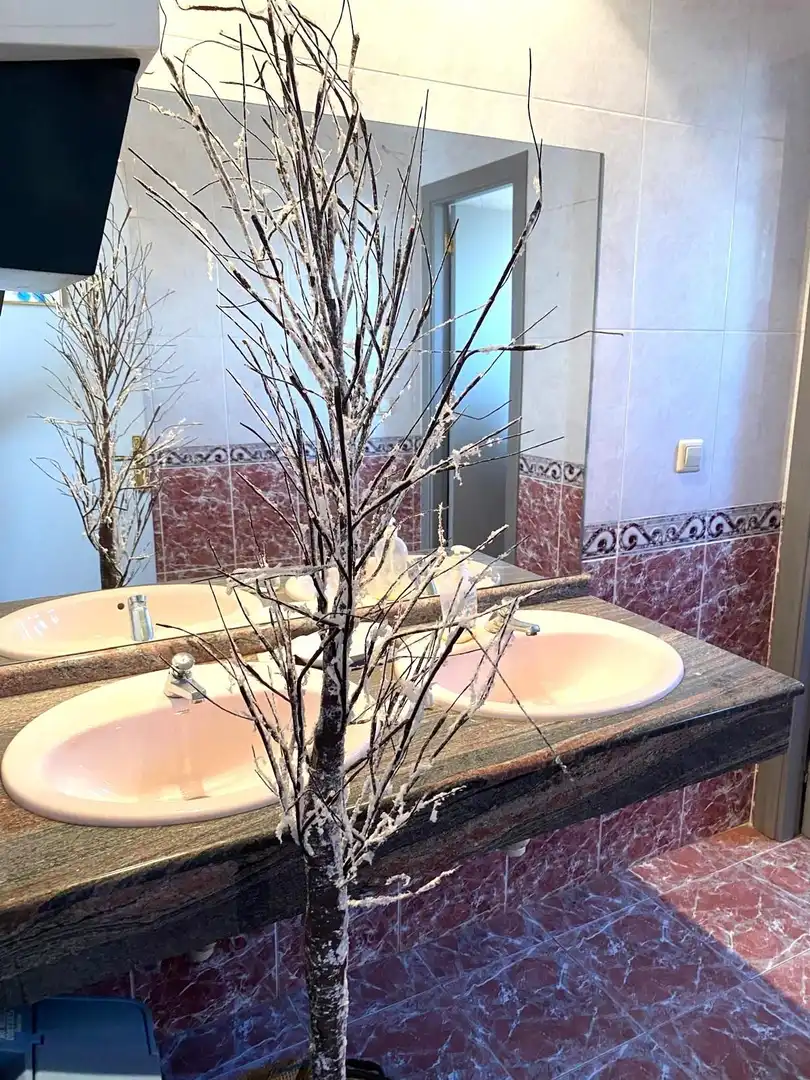 Baño de Casa o chalet en venta en Murcia con Aire acondicionado, Jardín privado y Terraza