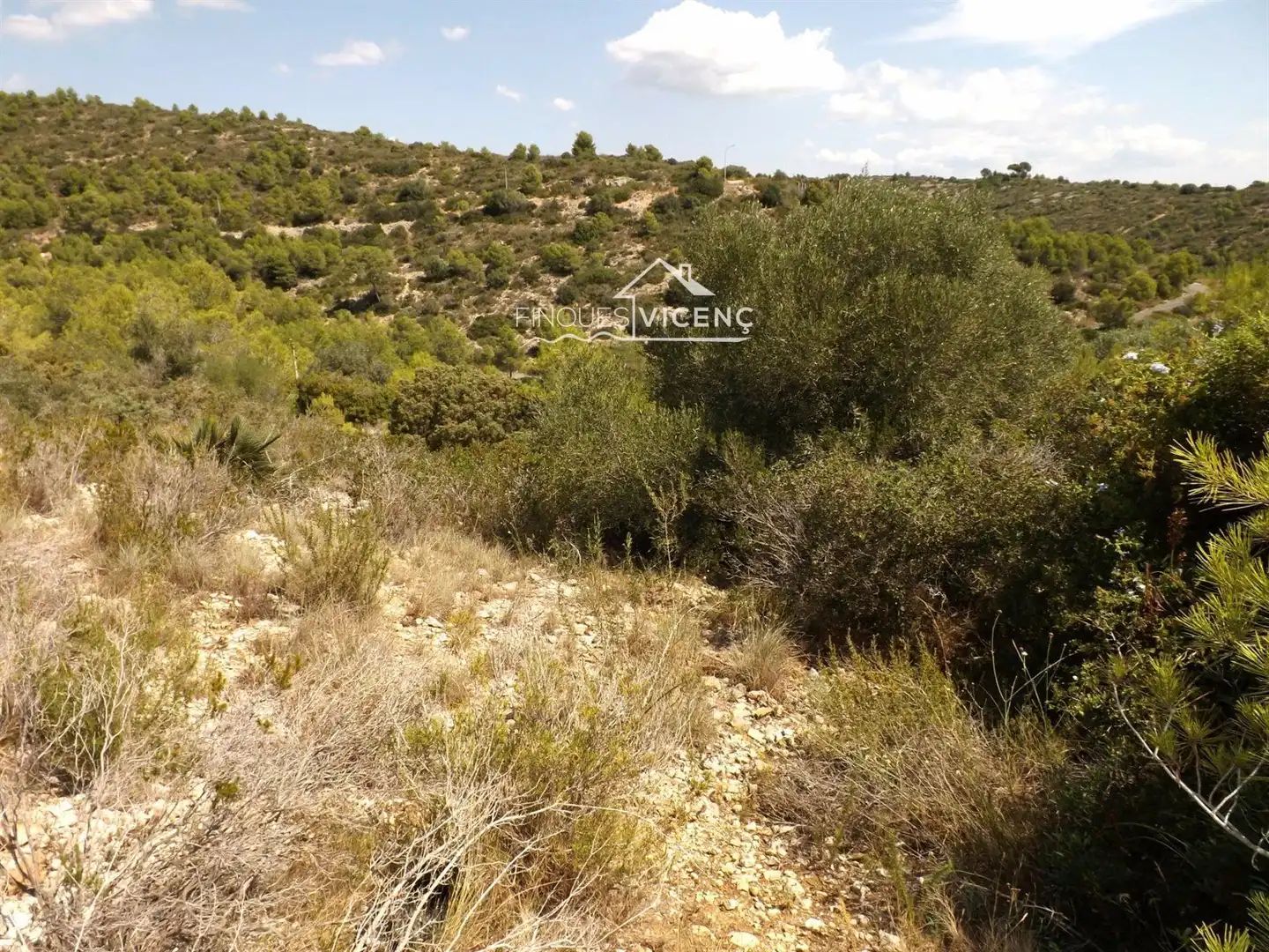 Terreno rustico in vendita a BOI, imagen 10