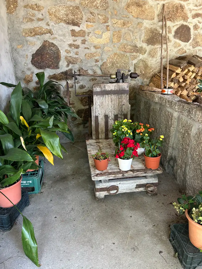 Terrassa de Casa o xalet en venda en Meis amb Jardí privat, Traster i Piscina