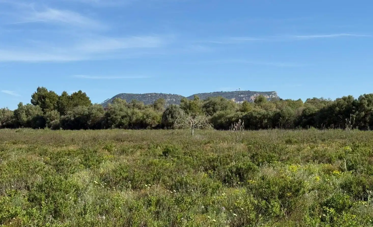 Grundstücke und Bauplätze zum Verkauf in Llucmajor pueblo, imagen 4