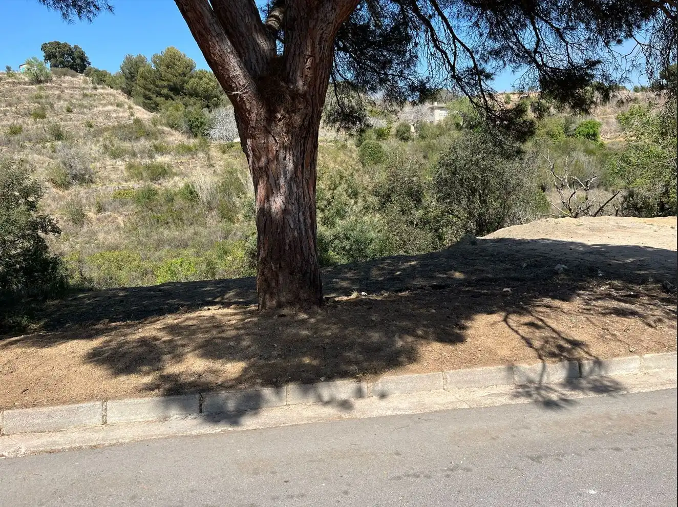 Rustikales Grundstück zum Verkauf in Urb. Residencial Blanes, imagen 4