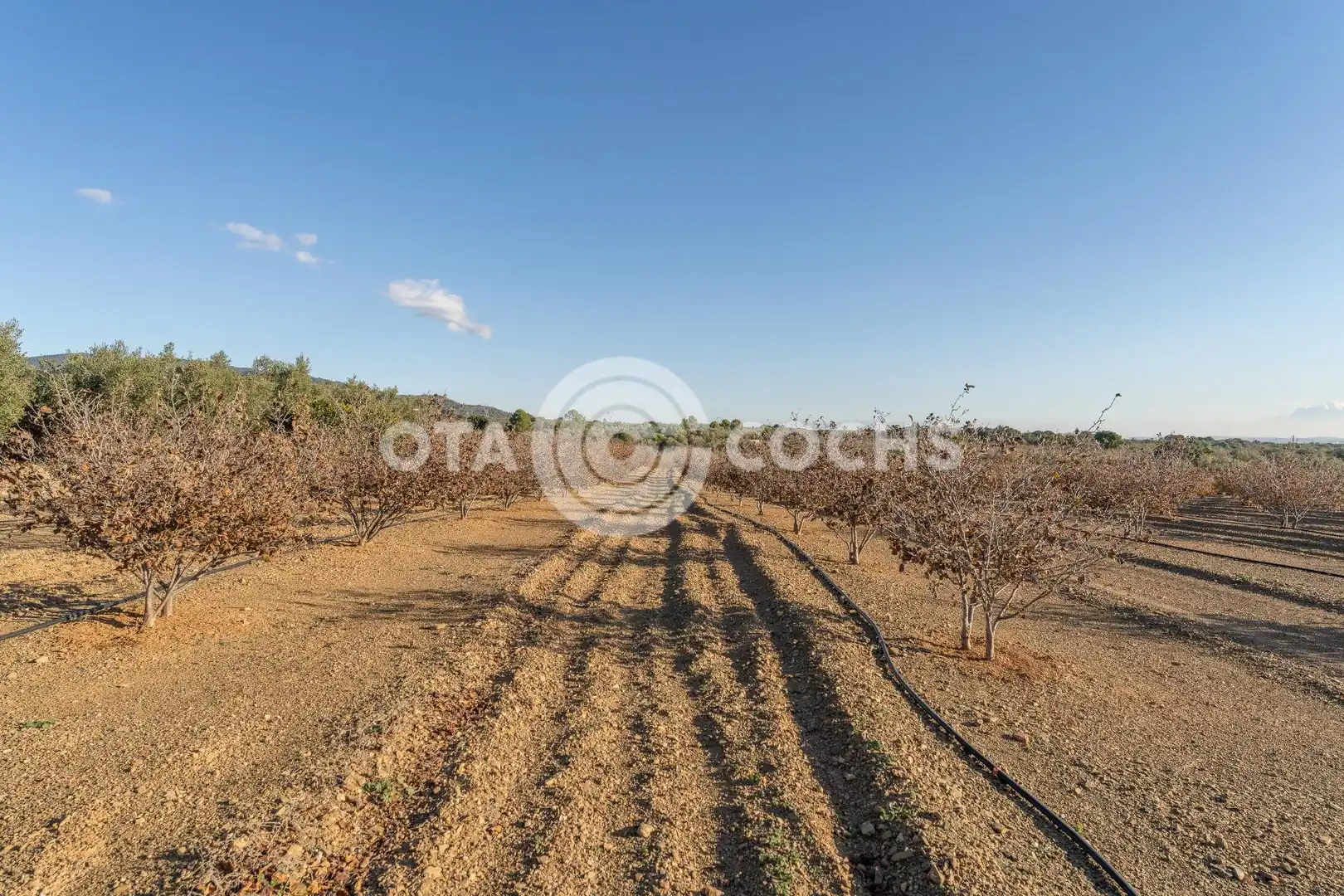 Finca rústica en venta en Castellvell del Camp