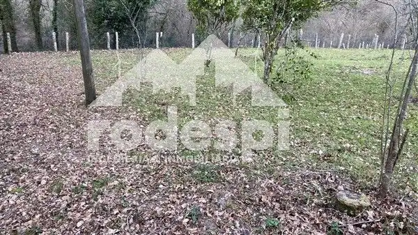 Terreny rústic en venda a A Cañiza, imagen 5