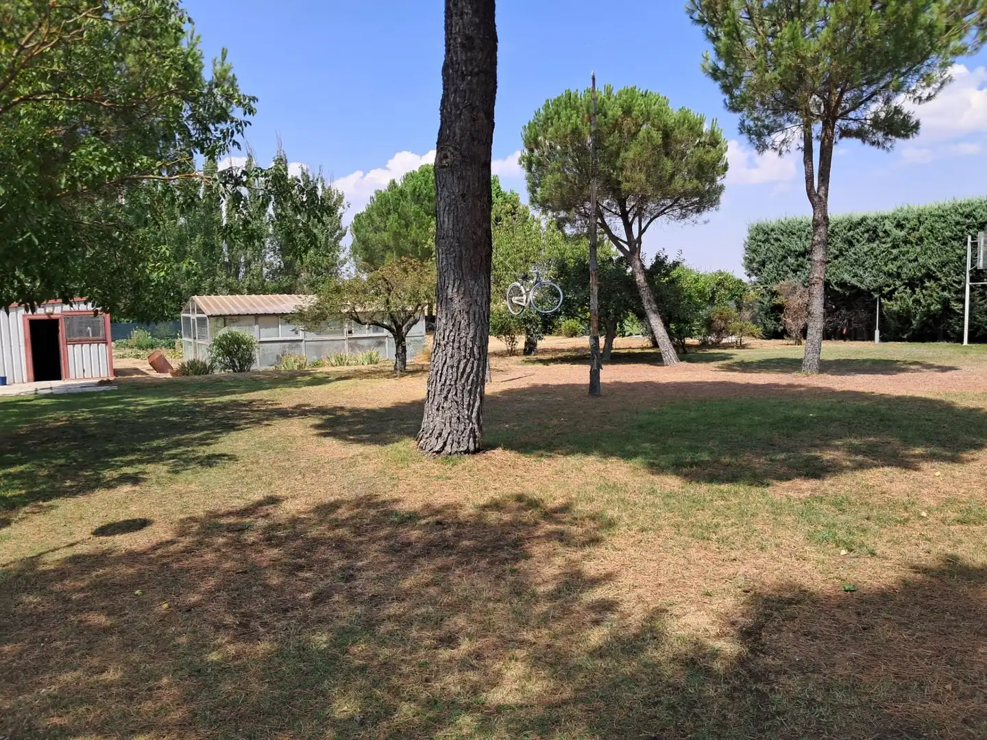 Garten von Wohnung zum Verkauf in La Vellés  mit Privatgarten und Schwimmbad
