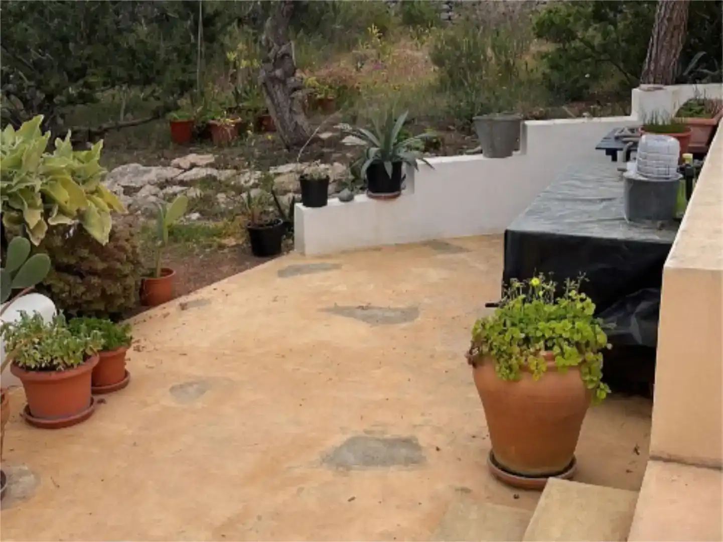 Terrassa de Finca rústica en venda en Formentera, Illes Balears