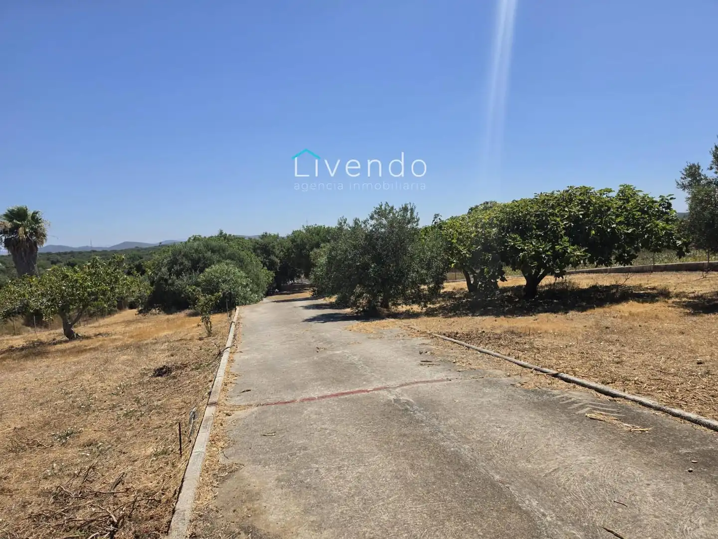 Villa mit Pool zum Verkauf in Pelagatos - Pago del Humo, imagen 23