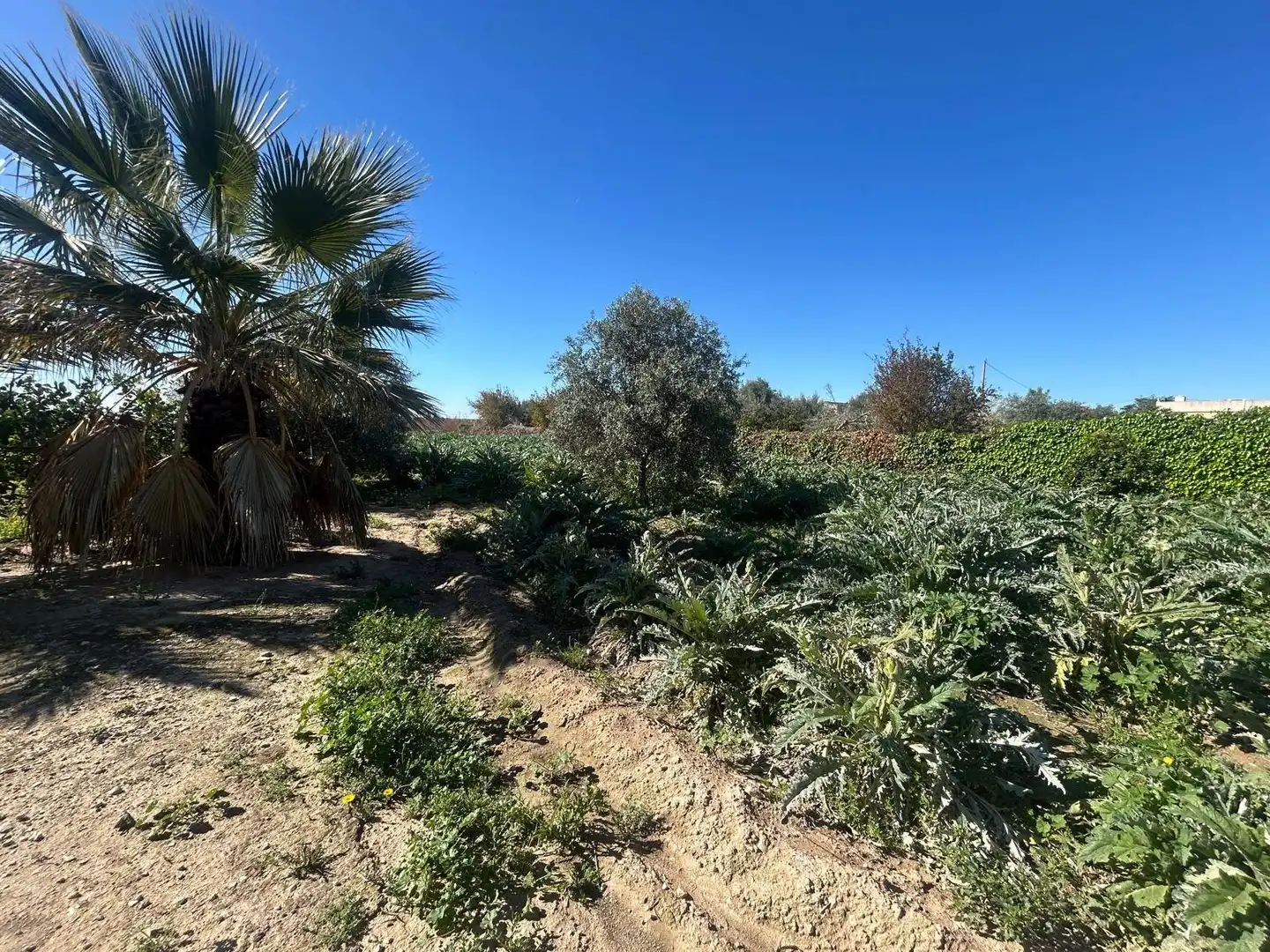 Villa avec jardin à vendre à Polígono Poligono 1, imagen 36