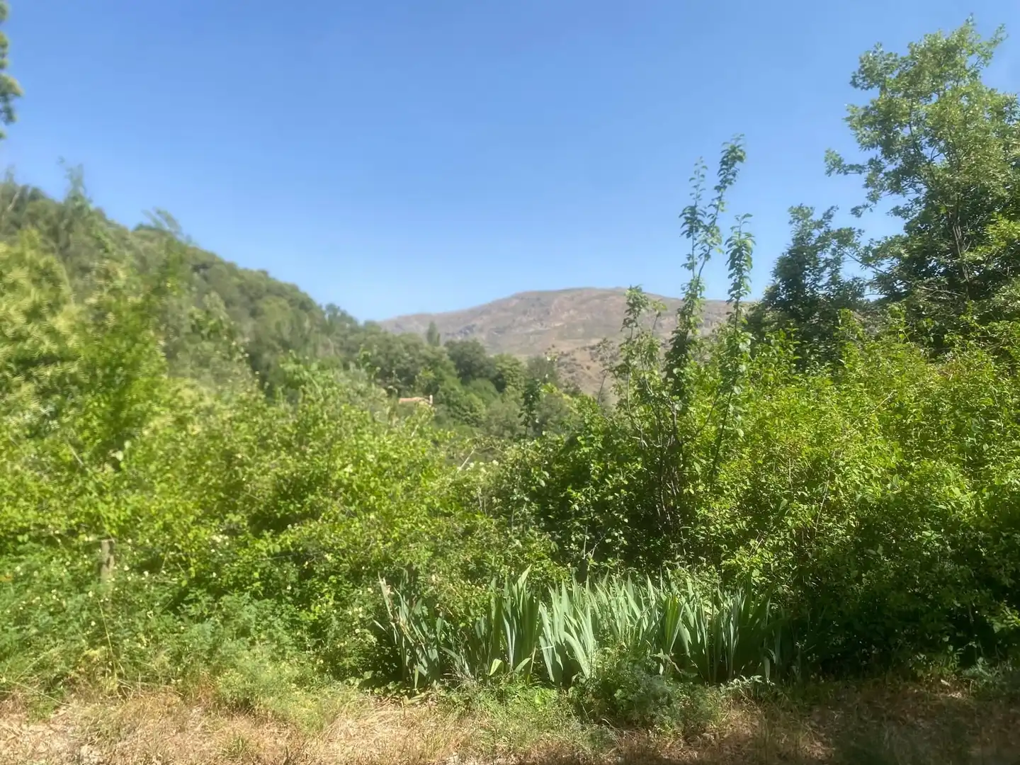 Casa amb jardí en venda a Güéjar Sierra, imagen 27