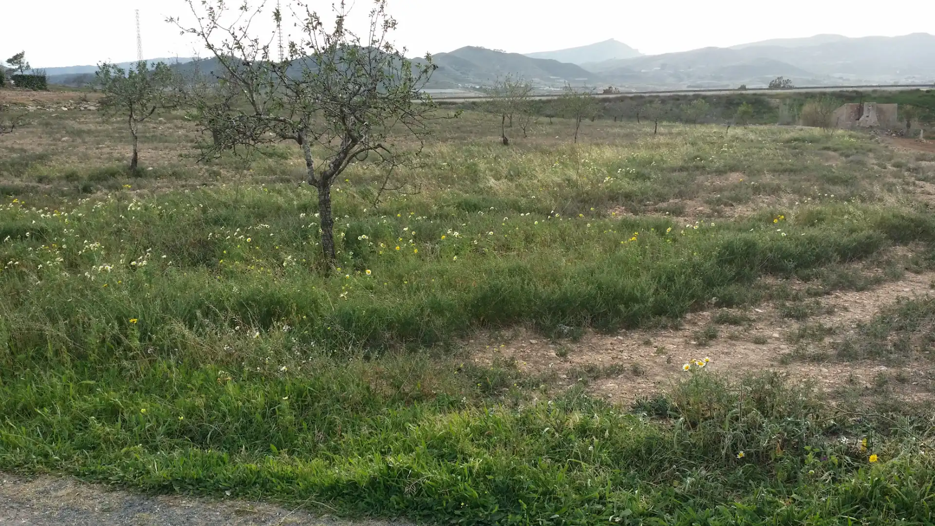 Rustikales Grundstück zum Verkauf in Pedanías Oeste, imagen 2