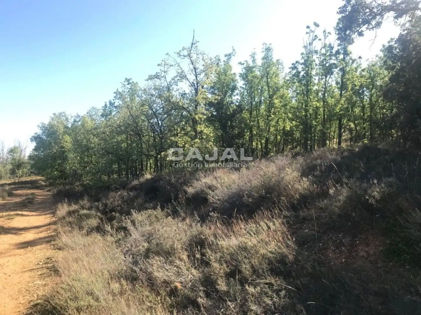 Terreni e lotti in vendita a poligono 6 parcela 6030, imagen 14
