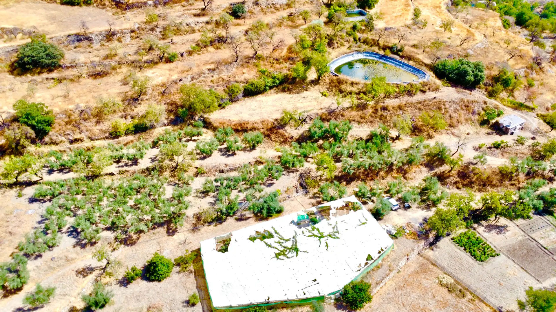 Terreno rustico in vendita a N/A, imagen 15