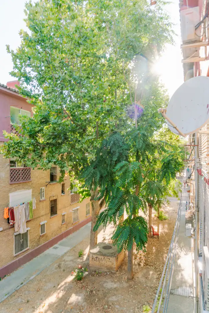 Jardí de Pis en venda en Zaragoza amb Parquet, Forn i Rentadora