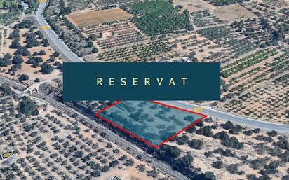 Land for sale in Maspujols