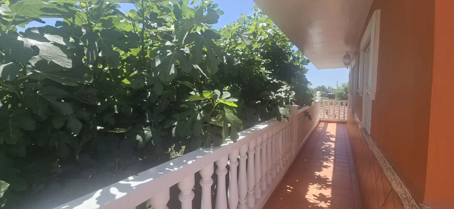 Terraza de Casa o chalet en venta en Molina de Segura con Terraza y Trastero