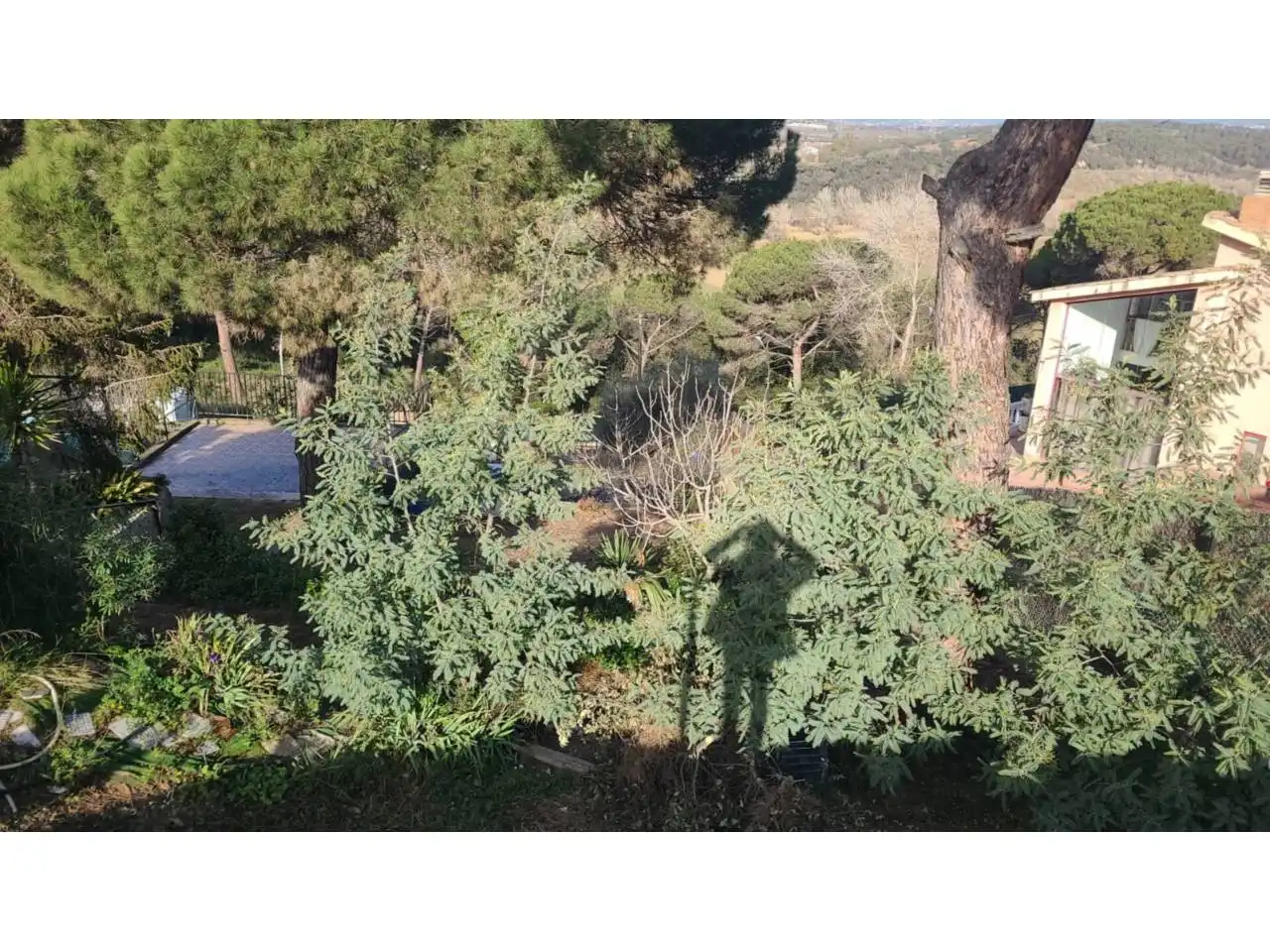Residential land for sale in De La Margarida 27, imagen 27