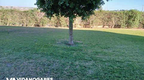 Foto 4 de Finca rústica en venda a Norte - Blanca Paloma, Cádiz