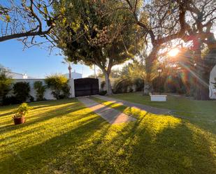 Jardí de Casa o xalet en venda en Rota amb Terrassa