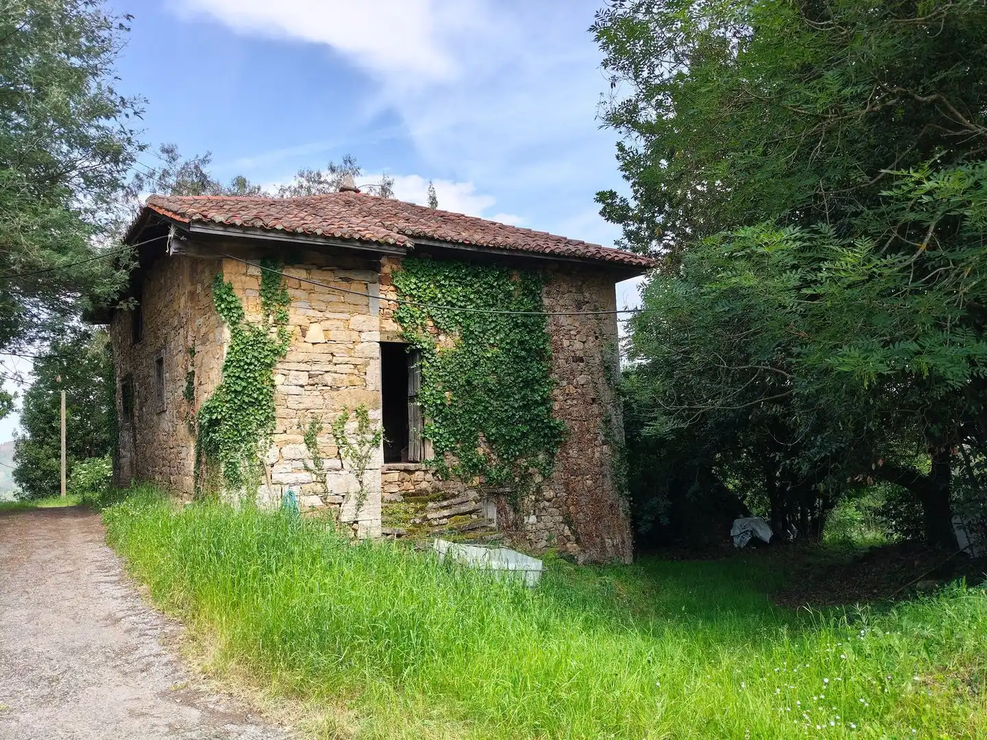 Vista exterior de Casa o xalet en venda en Salas amb Terrassa i Piscina