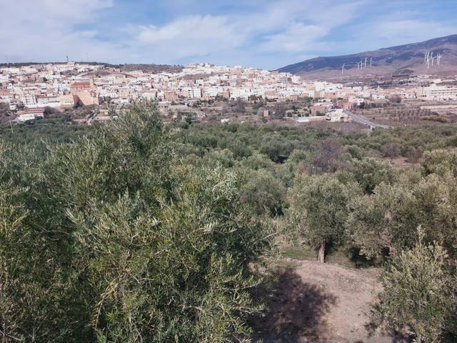 Casa-chalet en Venta en  HERMANOS TENA ARTIGAS en Abla