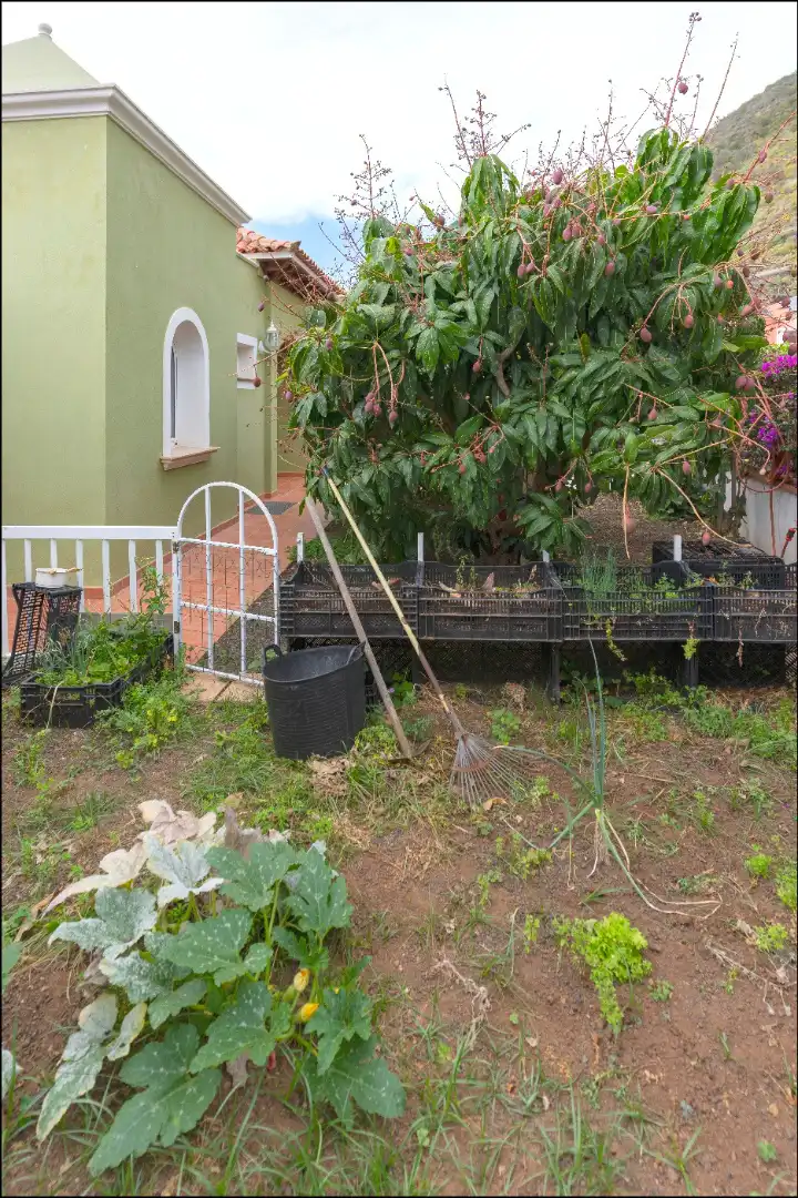 Jardí de Casa o xalet en venda en La Orotava