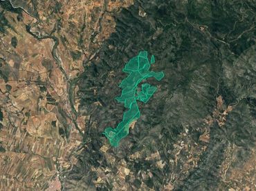Terreno rustico in vendita a Pt Talades, Pol 13