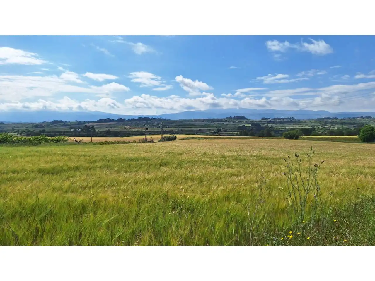 Terreny rústic en venda a Galim, imagen 2
