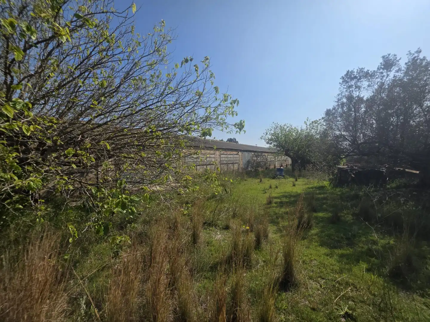 Terreno rustico in vendita a del Polígon Industrial 'La Ravaleta', imagen 6