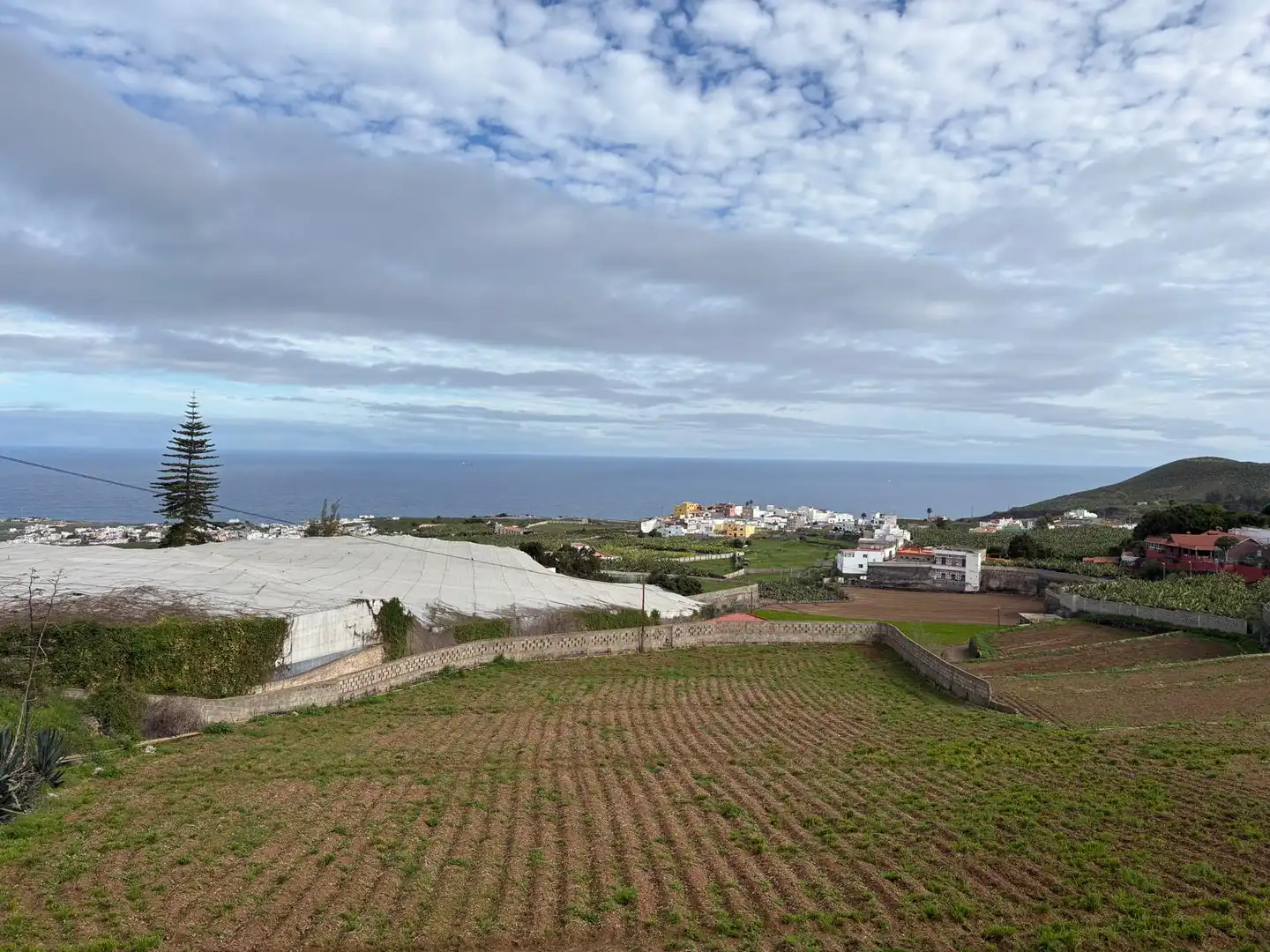 Detached homes for sale in Arucas  with Terrace