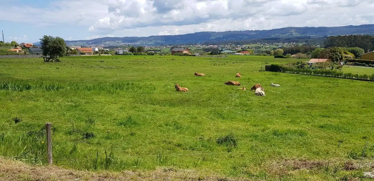 Terrenys i solars en venda a Lugar Montefaro, imagen 7
