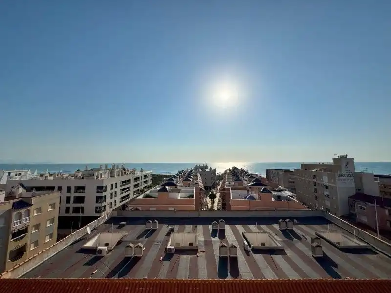 Vista exterior de Apartament en venda en Torrevieja amb Aire condicionat, Moblat i Piscina comunitària
