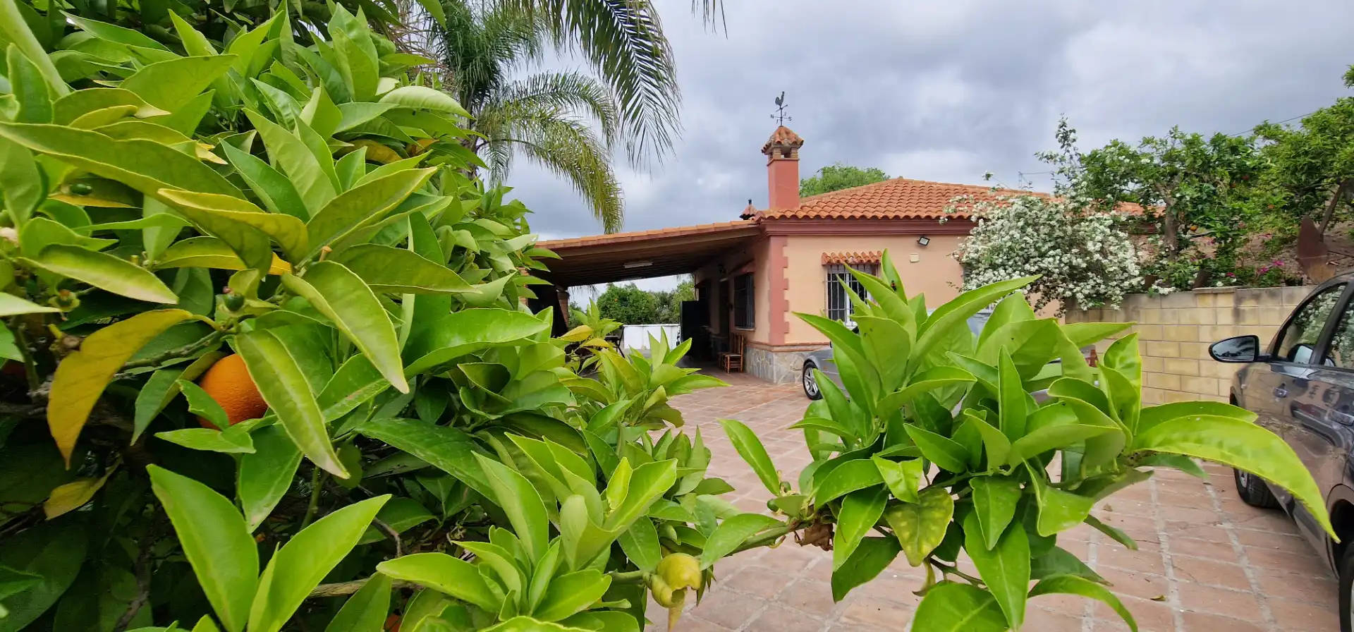 Casa rústica amb jardí en venda a Coín, imagen 29